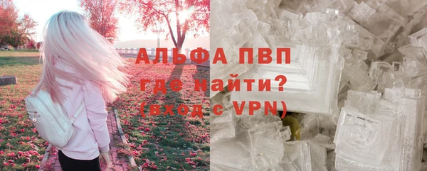 СК Алексин