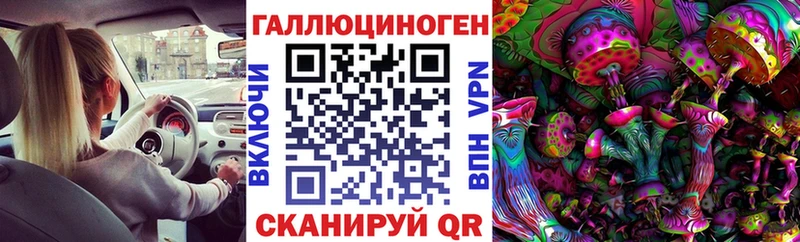 Псилоцибиновые грибы Psilocybine cubensis  Нелидово 